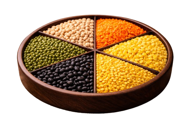 A close up shot of a bowl of seeds.